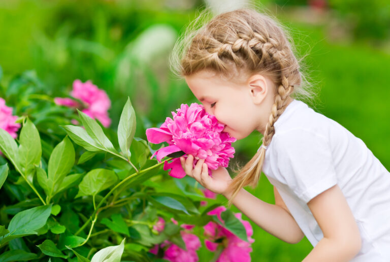 dziewczynka wąchająca kwiaty