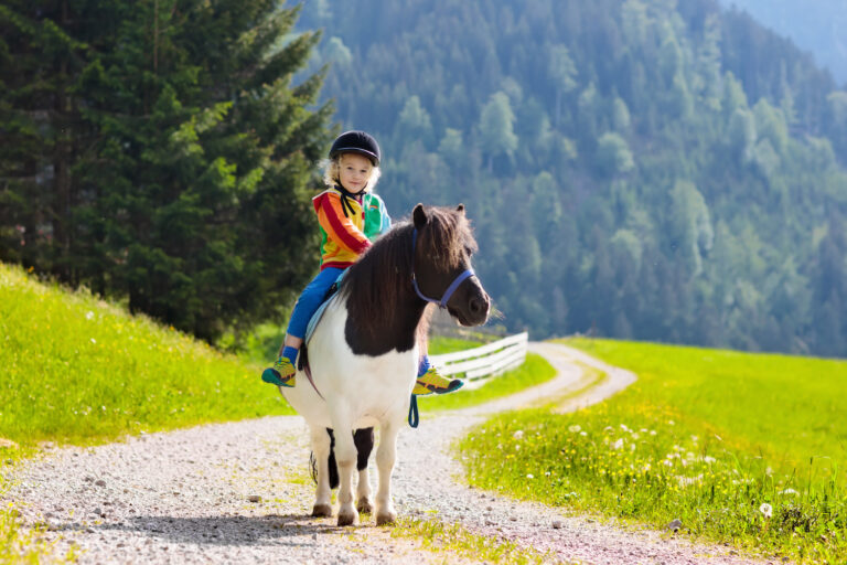 chłopiec jedzie na koniu