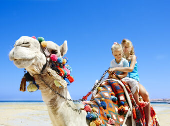 dziewczynki na wakacjach za granicą jeżdżą wielbłądem