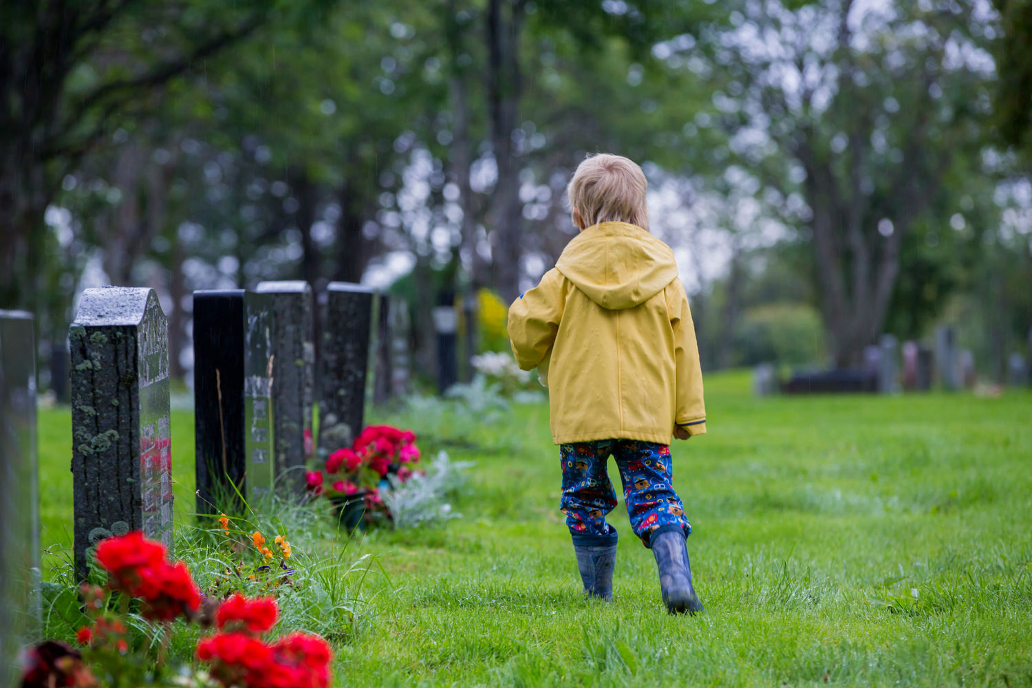 Hverdage bar Afbrydelse Jak rozmawiać z dzieckiem o śmierci? | Akademia Mądrego Dziecka