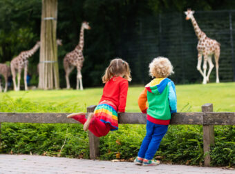 dzieci na wycieczce w zoo