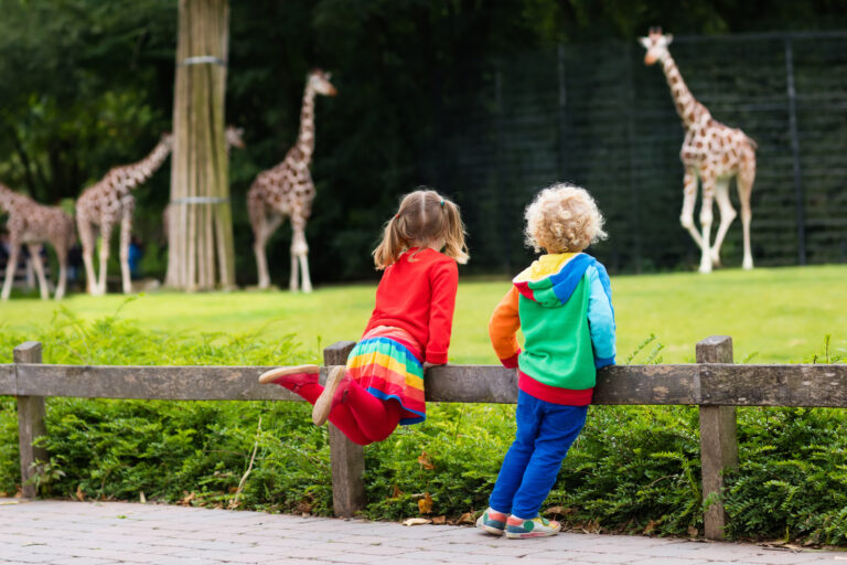 dzieci na wycieczce w zoo